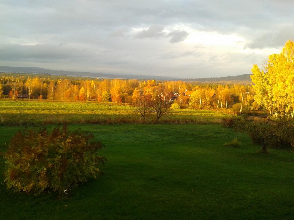 Dagmarsgardens Stuguthyrningen Villa Kullsbjorken Bagian luar foto